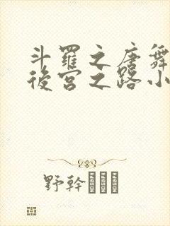 斗罗之唐舞麟的后宫之路小说免费阅读