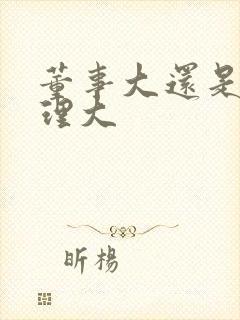 董事大还是总经理大