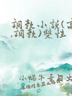 调教小说(高h,调教)双性