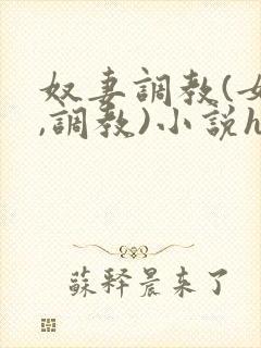 奴妻调教(女m,调教)小说hhh