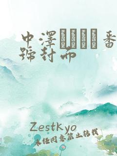 中泽チュリン番号封面