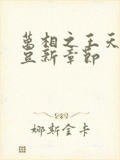 万相之王天蚕土豆新章节