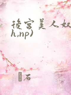 后宫美人奴(高h,np)