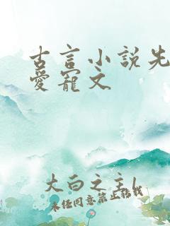 古言小说先婚后爱宠文