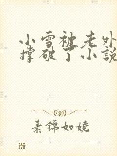 小雪被老外黑人撑破了小说