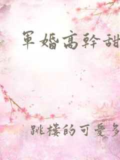 军婚高干甜宠文