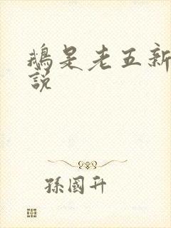 鹅是老五新的小说