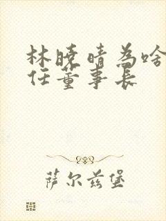 林晓晴为啥能连任董事长