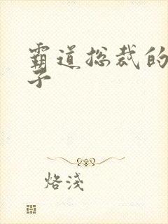 霸道总裁的小妻子