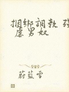 捆绑调教 强制 虐男奴