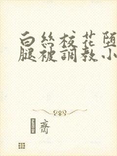 白丝校花堕落玉腿被调教小说