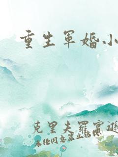 重生军婚小媳妇