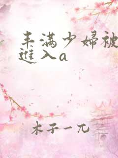 丰满少妇被猛烈进入a