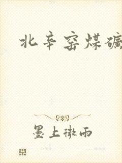 北辛窑煤矿简介