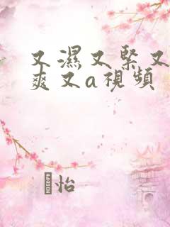 又湿又紧又大又爽又a视频