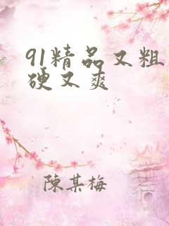 91精品又粗又硬又爽