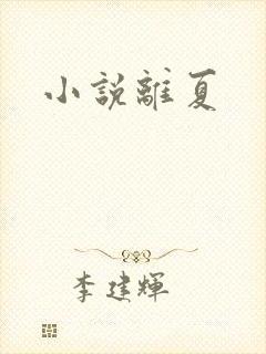小说离夏