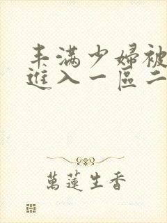 丰满少妇被猛烈进入一区二区