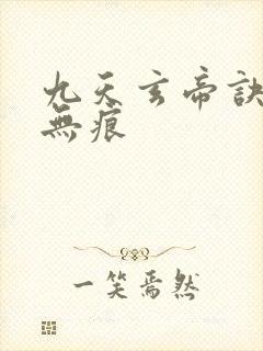 九天玄帝诀傲天无痕