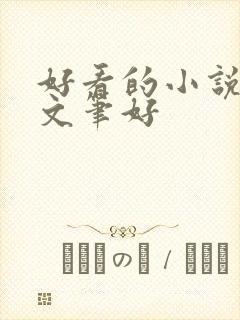 好看的小说言情文笔好