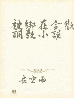 被绑在合欢椅上调教小说