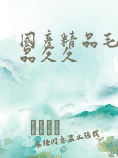 国产精品毛片极品久久