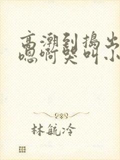 高潮到捣出白浆嗯啊哭叫小说