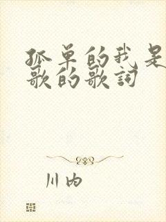 孤单的我是哪首歌的歌词