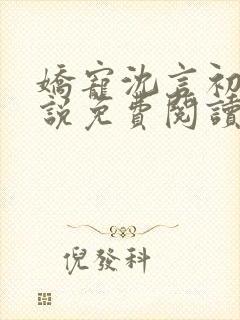 娇宠沈言初夏小说免费阅读全文