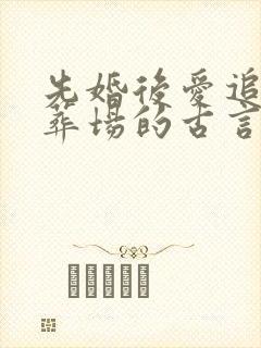 先婚后爱追妻火葬场的古言