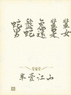 蛇盘兔辈辈富是男蛇还是女蛇