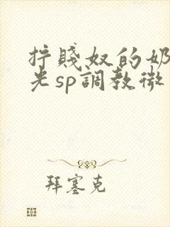 拧贱奴的奶头耳光sp调教微博