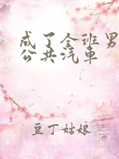 成了全班男生的公共汽车