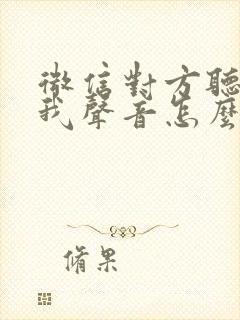 微信对方听不见我声音怎么回事