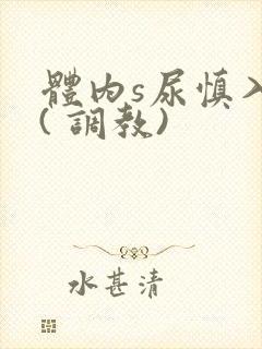 体内s尿慎入h( 调教)