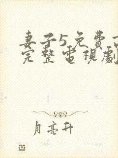 妻子5免费高清完整电视剧情年轻母亲