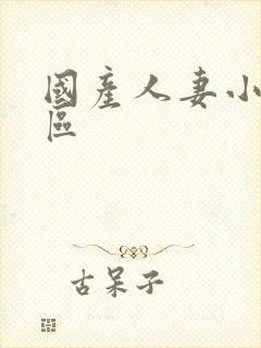 国产人妻小说一区