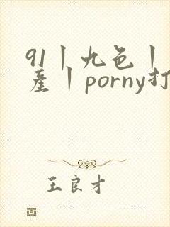 91丨九色丨国产丨porny打屁股