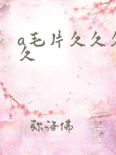a毛片久久久久久