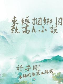 束缚捆绑囚禁调教高h小说