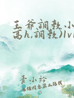 王爷调教小说(高h,调教)1v1