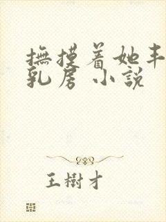 抚摸着她丰满的乳房 小说