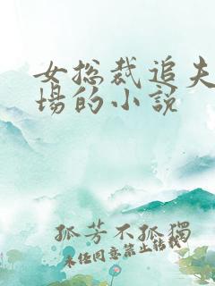 女总裁追夫火葬场的小说