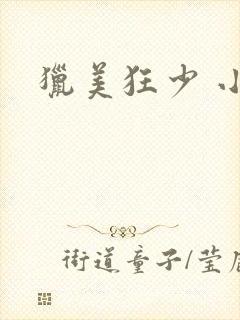 猎美狂少 小说