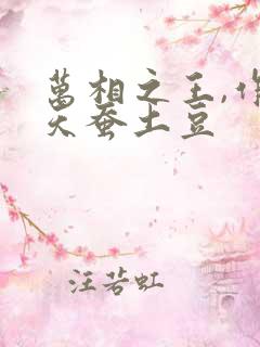 万相之王,作者天蚕土豆