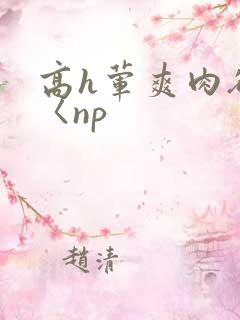 高h荤爽肉欲文〈np