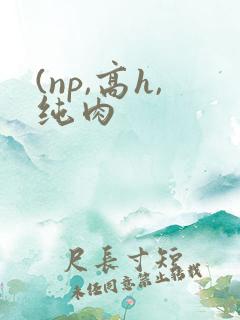 (np,高h,纯肉