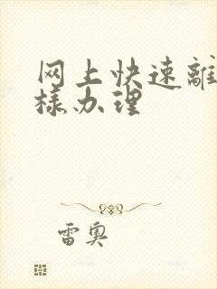 网上快速离婚怎样办理