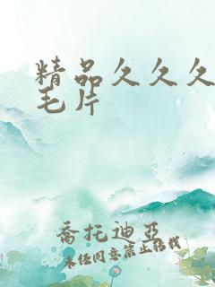 精品久久久国产毛片