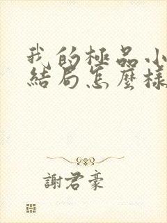 我的极品小姨大结局怎么样